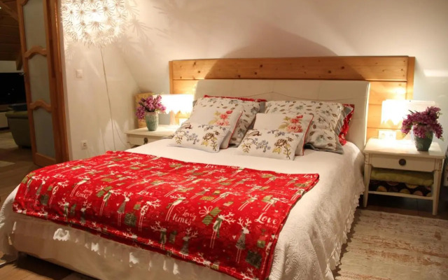 Rezydencja Tatry - Apartament Chamerion 1