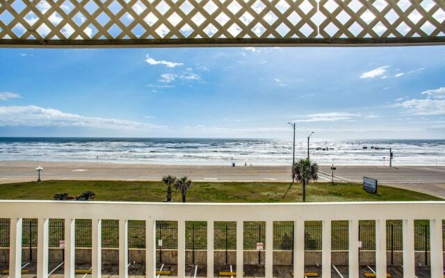 Victorian 8303-Seahorse at the Beach