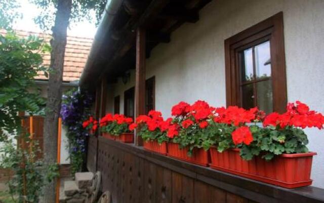 Zsuzsanna Paraszthaz