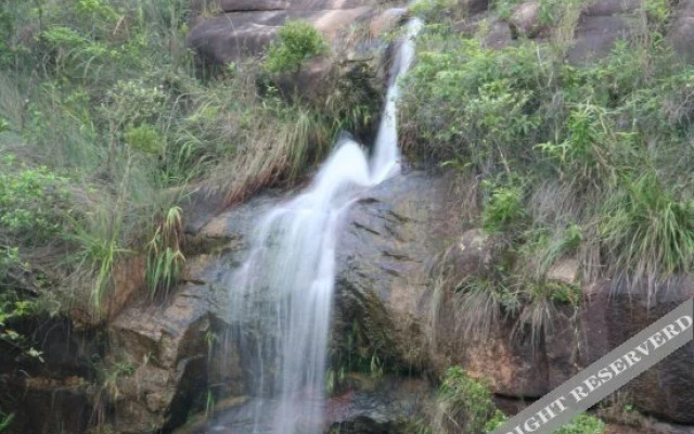 Zilian Forest Resort