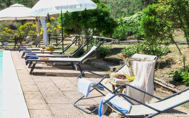 Tr-f513-mgab0at - Pianarina 10 2