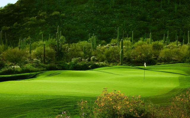 The Ritz-Carlton, Dove Mountain
