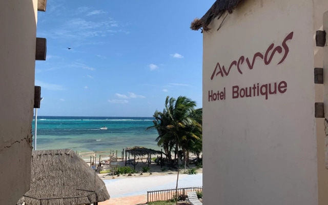 Hotel Arenas