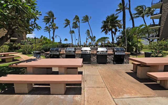 Kauhale Makai 203 - 1 Br Condo