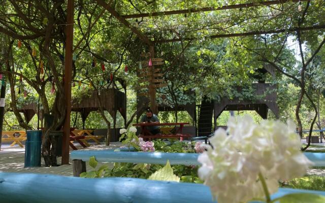 Olympos Camlik Pansiyon