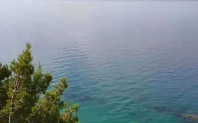 Hippocampus Apartments