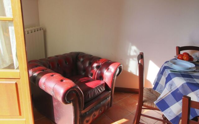 Farmhouse With Swimming Pool in Cortona