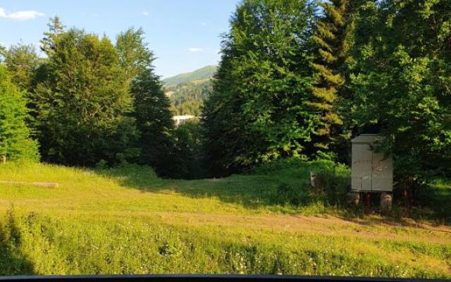 1Room Flat for rent in Bakuriani