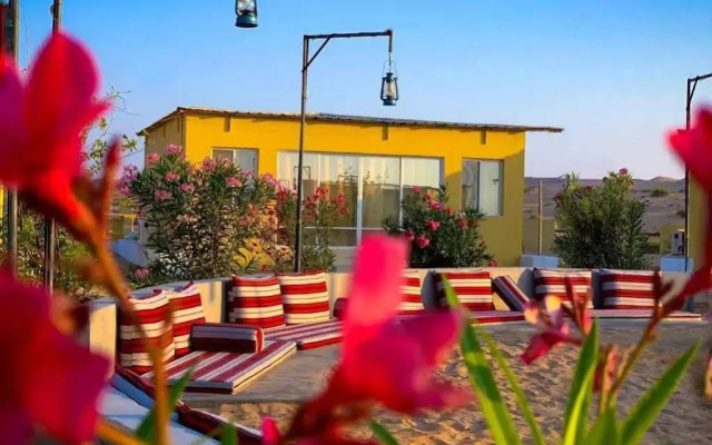 Golden Palm Oasis