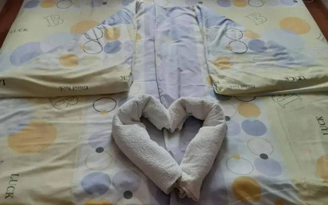 Borostyán Panzió