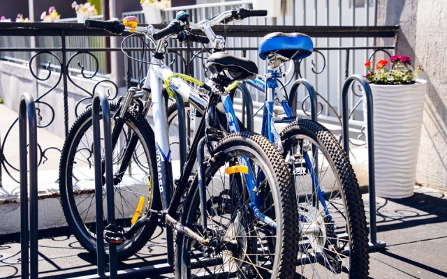 Сибирская здравница