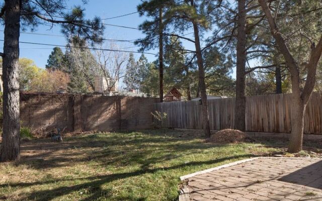 Artsy, Downtown Treehouse