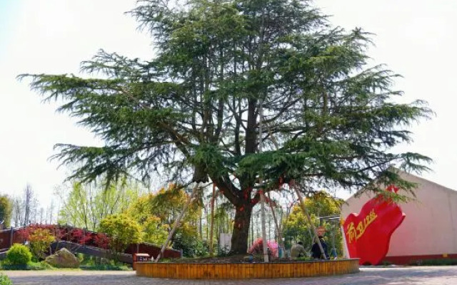 Qianwei 1966 Hotel