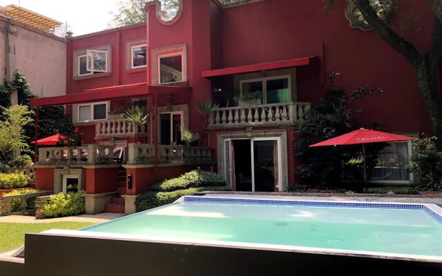 Pug Seal B&B Coyoacan