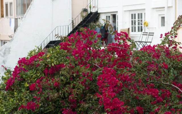 Flores Apartment