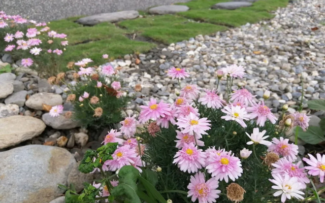 Rural Scenary Villa