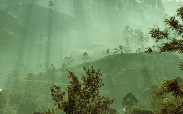 Strathdon by Zinc Journeys