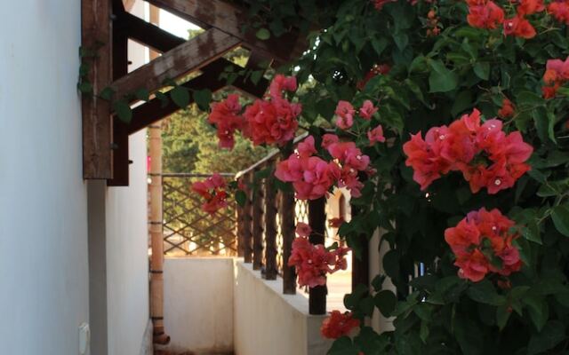 Casa Vacanza Terrarossa