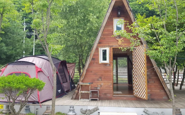 Treasure Island Pension