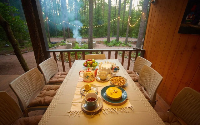 Репинские дачи