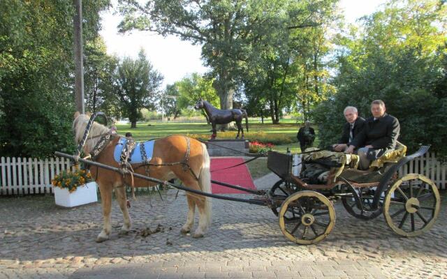 Старая аптека