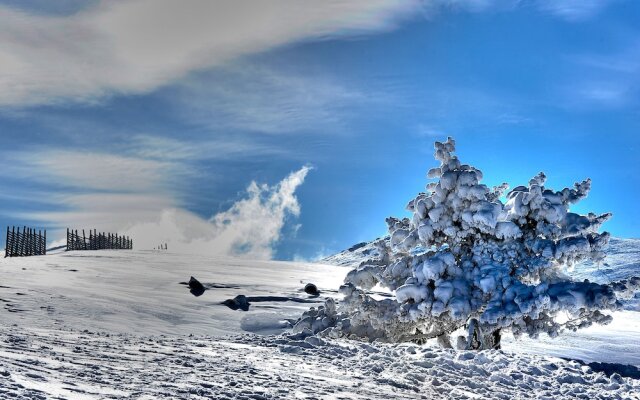 Agaoglu My Mountain Hotel