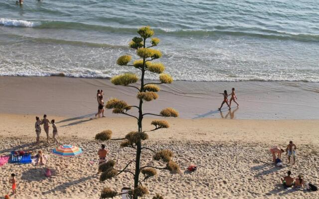 Apartamento Centro Tonelero I