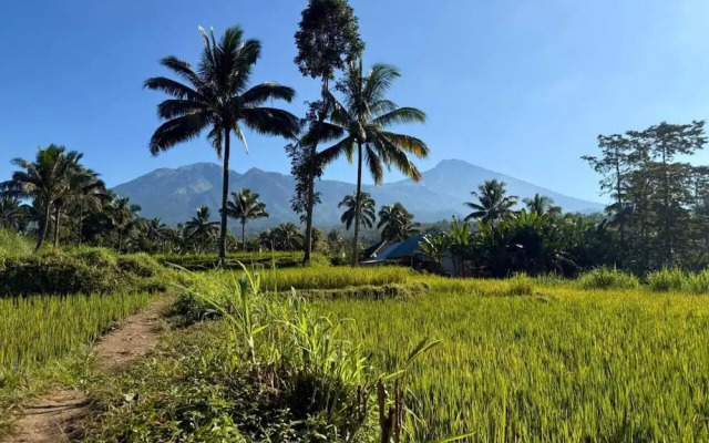 Tetebatu Valley Bungalows