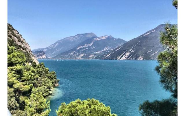 Laetitia Salo-historic Center Near Lake