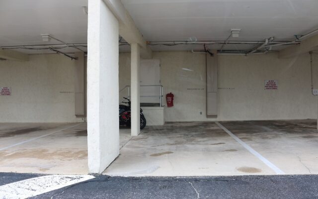 Sand Dollar by Surfside VR