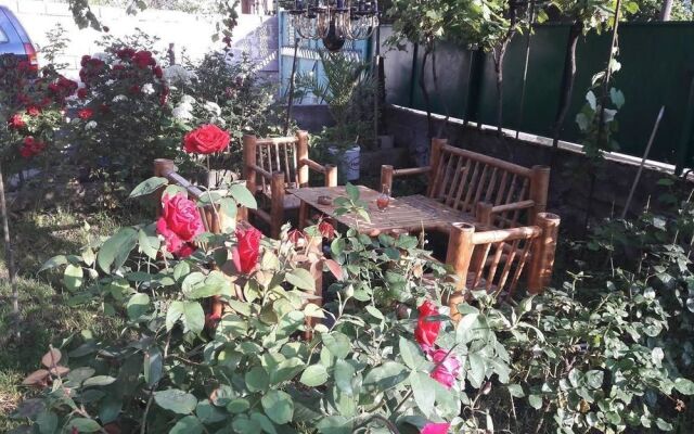 guesthouse metreveli