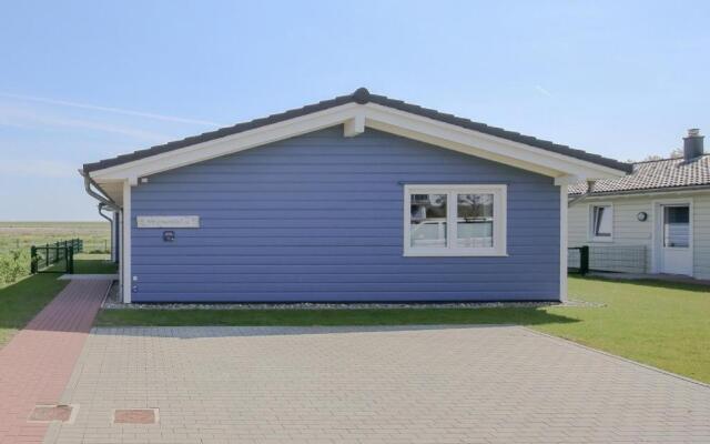 Ferienhaus - Herzmuschel