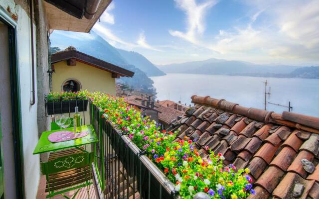 ALTIDO Amazing Green House with Balcony & Lake View