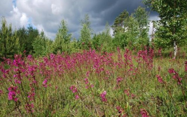 Усадьба Машин Хутор