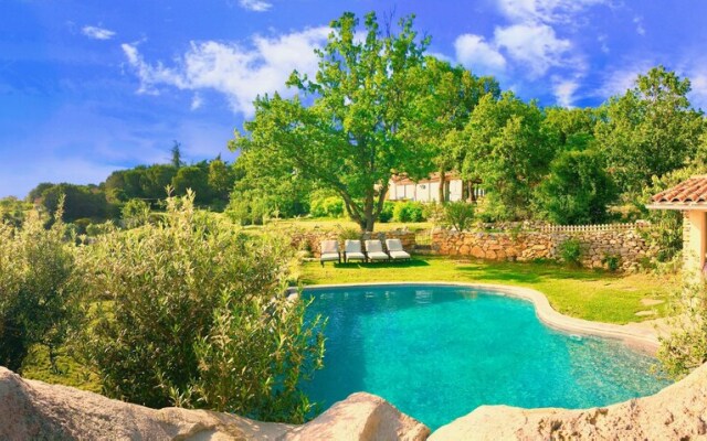 Wild Boar Mountain - France