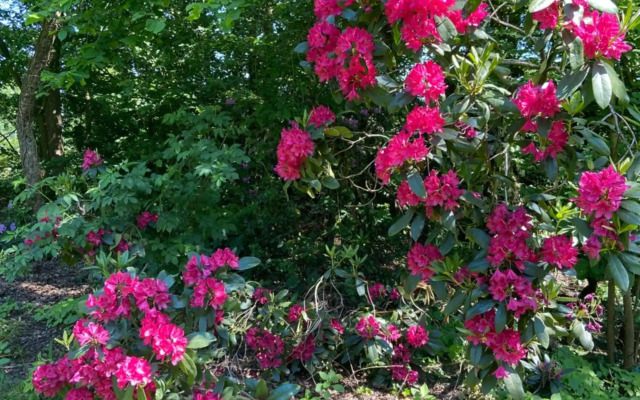 t Melkhuisje - EV lader aanwezig!