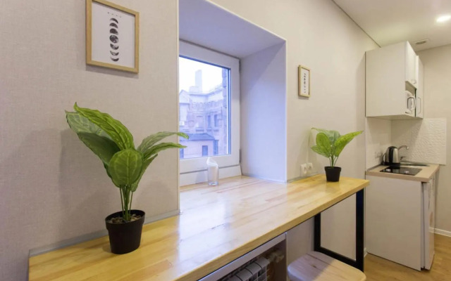 Studio near metro Pushkinska, Universytet - Mayakovskogo str. 5-3