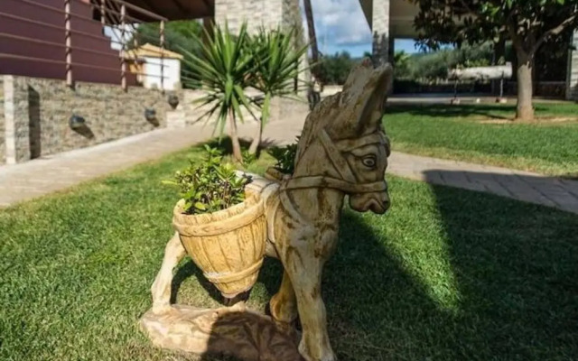 Magical Sunset Flat - in An Olive Grove