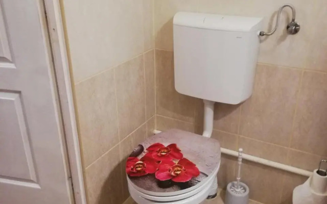 Örökzöld Apartman Szeged