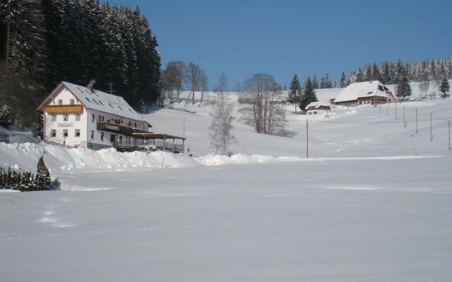 Gasthaus Pension Donishäusle