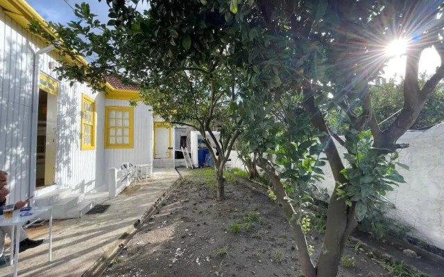 Owls Hostel Ildefonso