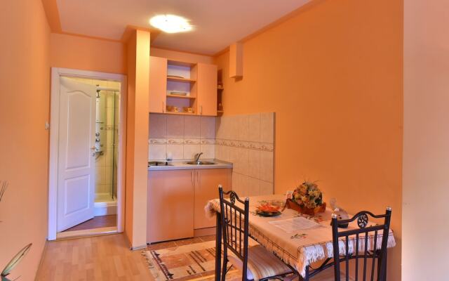 Vila Sofija Zlatibor