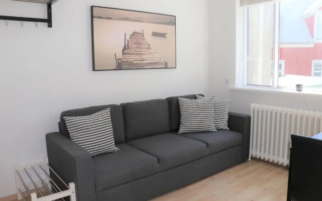 Odinn Reykjavik Skolavordustigur Apartments