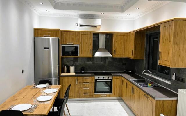 Deluxe furnished apartment (In the city center)