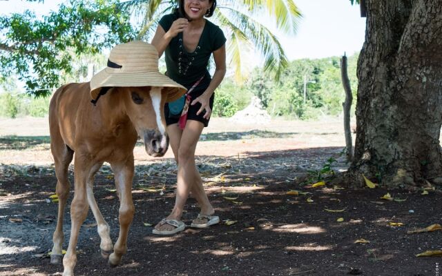 Backpackers Paradise