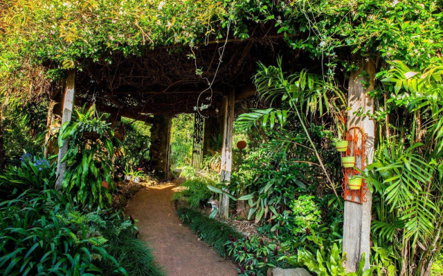 Tamborine Mountain B&B