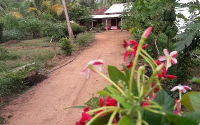Sigiri Corridor Home Stay