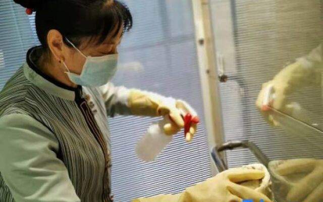 Landison Zhejiang Zhongrui Building