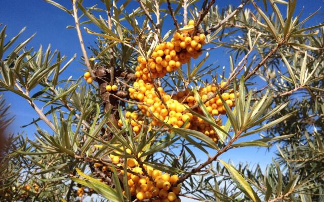 Zeesenhaus 5 mit Seeblick
