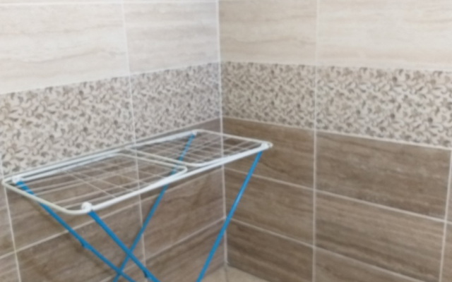 "Зеленый бор"